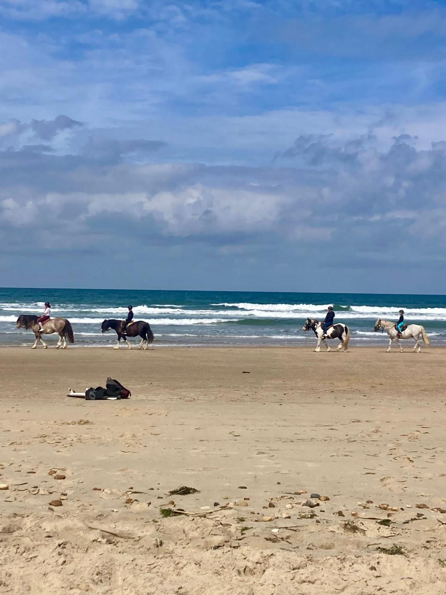 Mobil Home Happiness33 Dans Camping 5 Etoiles Acces Direct Plage Vendays Montalivet Buitenkant foto